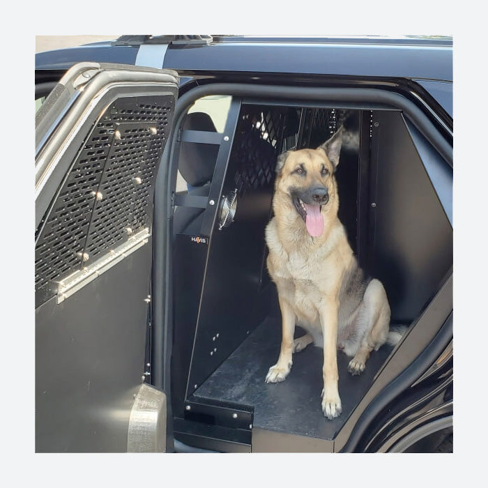 Havis Extended K9 Transport System For 2020-2024 Ford Retail Explorer K9-F29-XL-B